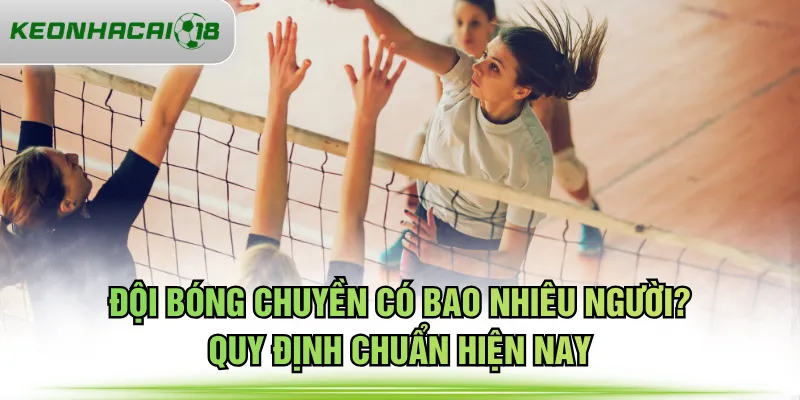 đội bóng chuyền có bao nhiêu người