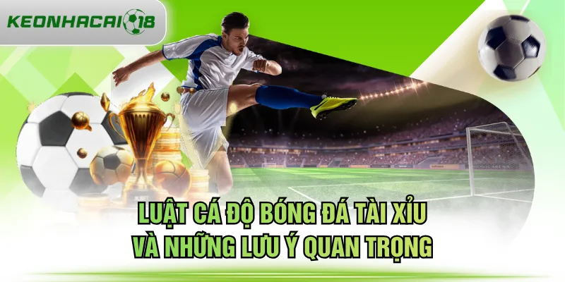luật cá độ bóng đá tài xỉu